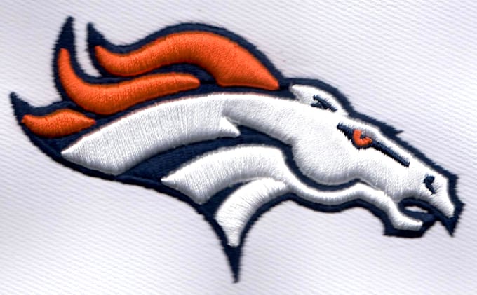 do 3d puff, flat embroidery logo digitizing  within 3 hours