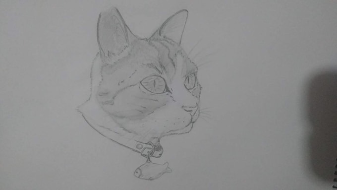do you want a drawing made with graphite pencil