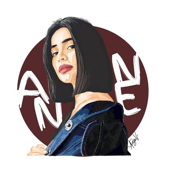 professionally make a picture into cartoon effect