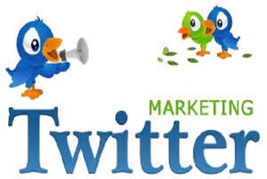 do professional twitter marketing