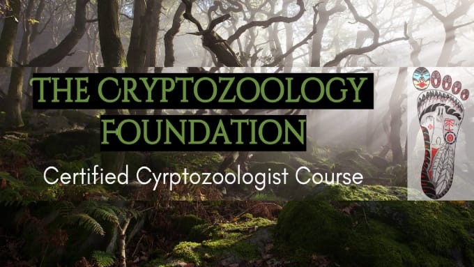 Help you to become a certified cryptozoologist by Leejames1991 | Fiverr