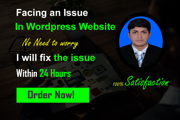 fix wordpress website issues and do wordpress customization