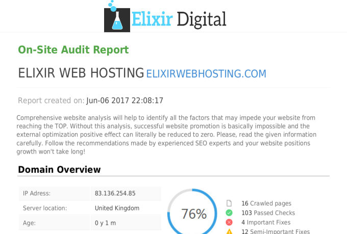 professional SEO 9 page audit