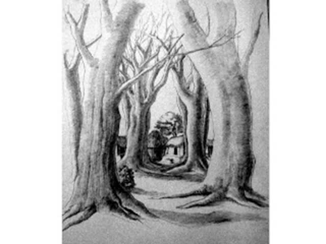 draw good quality pencil sketch for your project