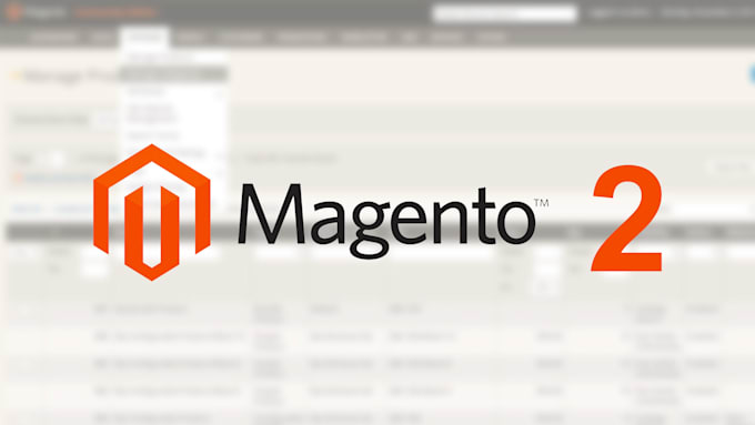 fix magento bug, magento certified developer