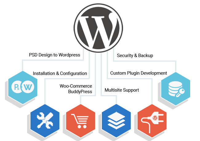 Wordpress план обучения