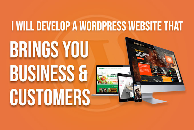 develop perfect business wordpress website