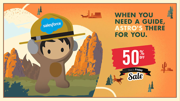 do any salesforce development or integration