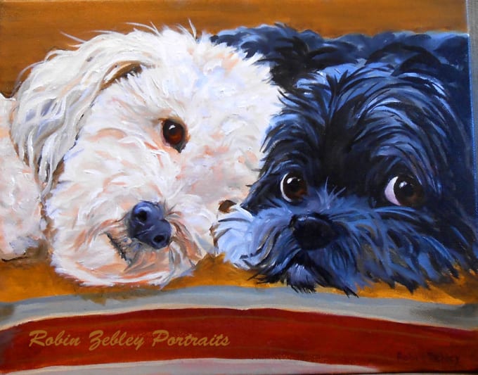 Hand Paint Your Pet Portrait In Oils On Canvas By Petportraitart