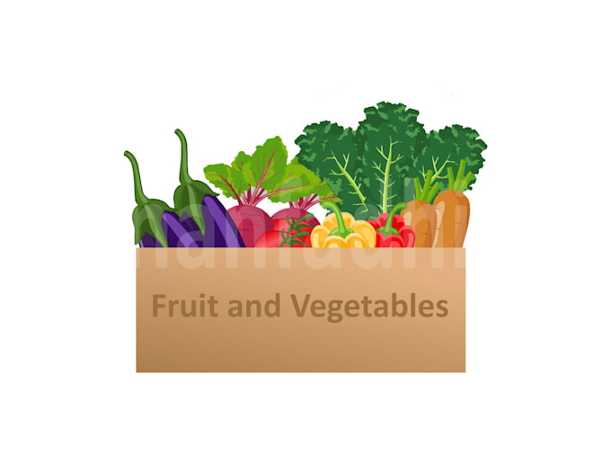 draw vegetable and fruit illustration