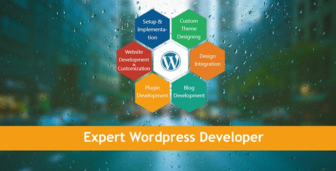 fix any wordpress issue