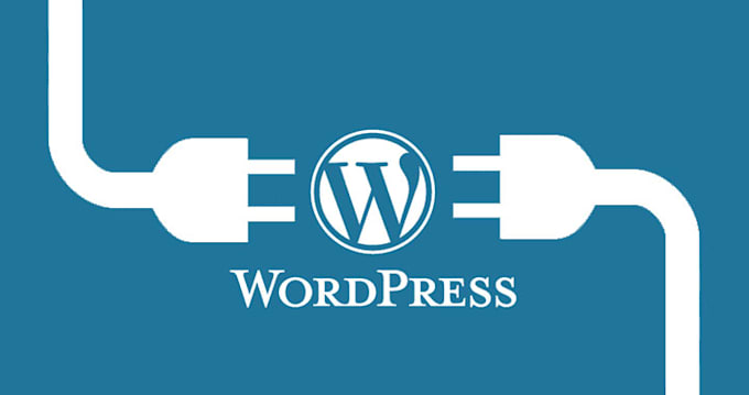 do wordpress plugin development and customization