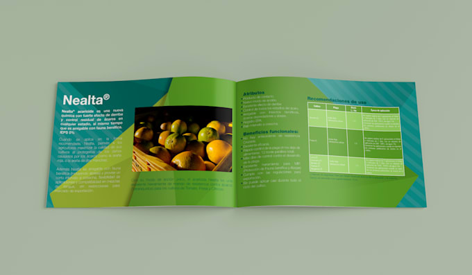 design a flyer for your business