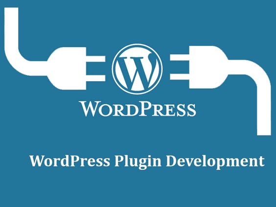 do custom integrations with woocoomerce or wordpress plugins