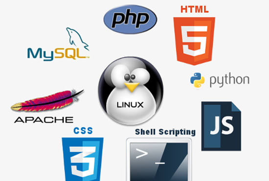 Fix php. Fix php. Php not found php server not running. Fix site. Php mysql bot.