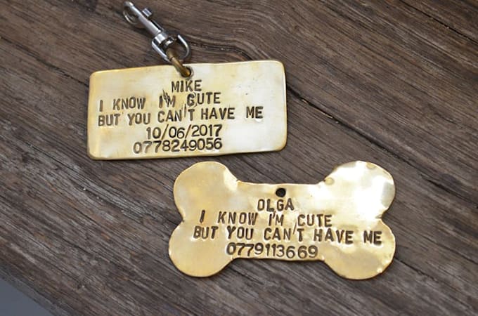 customized dog tags near me