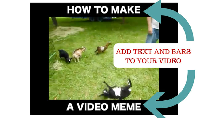 Make Video Meme Editing Video Subtitle Viral It Anywhere By Pankajkumar9405