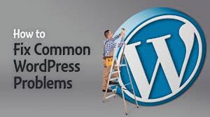 migrate wordpress website fix theme css errors and speed
