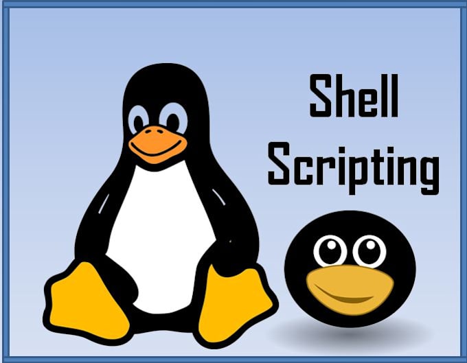 write shell scripts to automate any task you need