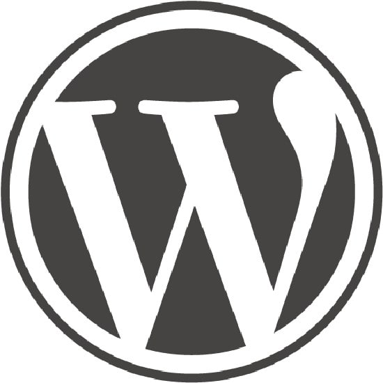 fix the wordpress websites bugs