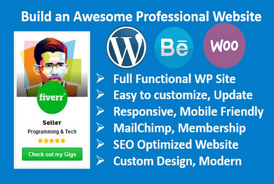 build clean and professional wordpress site