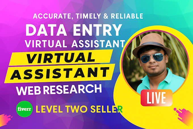 be your timely virtual assistant for data entry, excel data cleaning