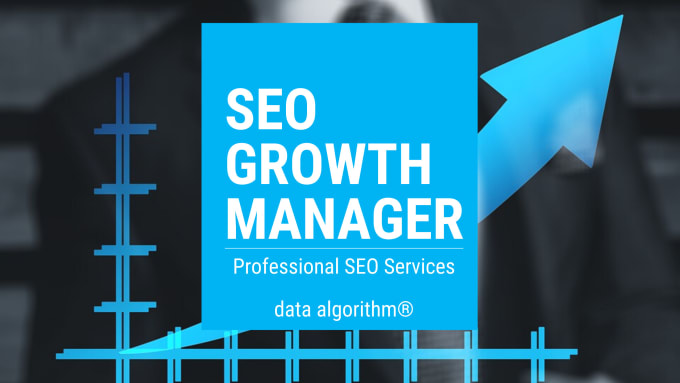 I will be your website SEO growth manager