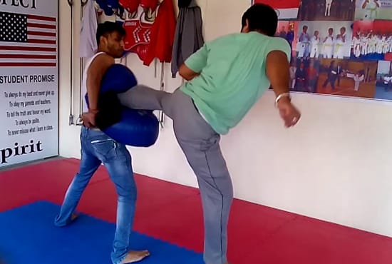 show you the video, how to do martial art for fitness