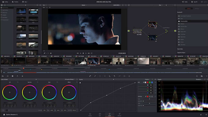 provide professional video editing