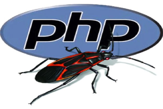streamline your website and resolve PHP issues