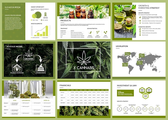 design a pitch deck, business plan, powerpoint presentation, and google slides