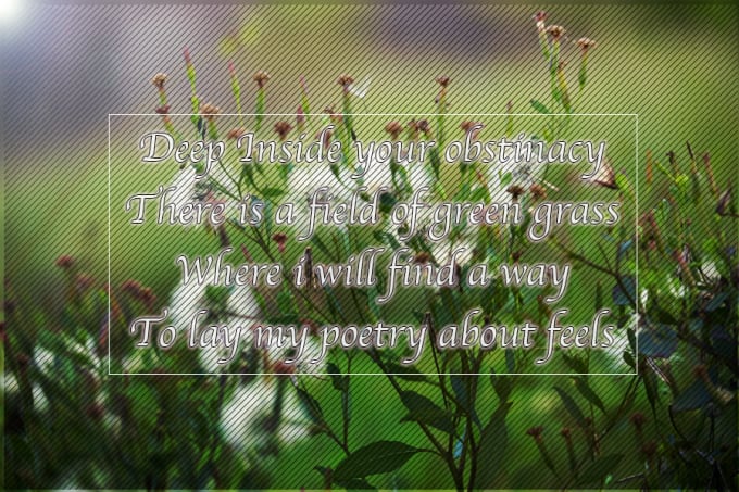 Write poetry with photo as background by Iqbal_ahmad | Fiverr