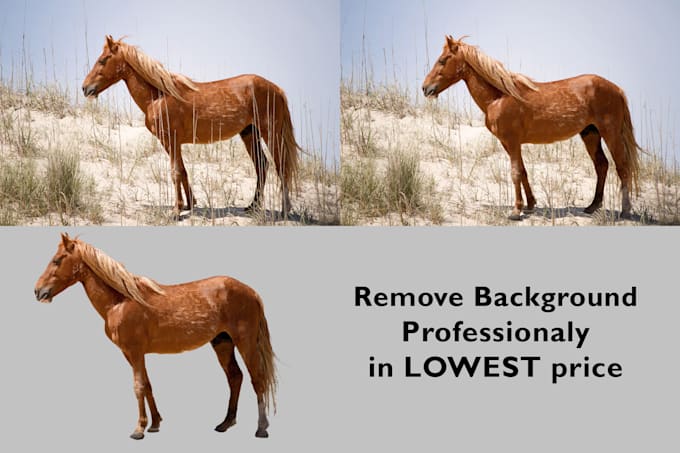 resize images for your website