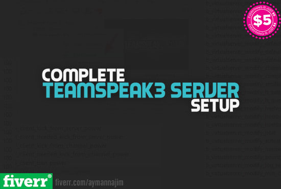 Set Up Your Teamspeak Server Permissions And Channels By Aymannajim