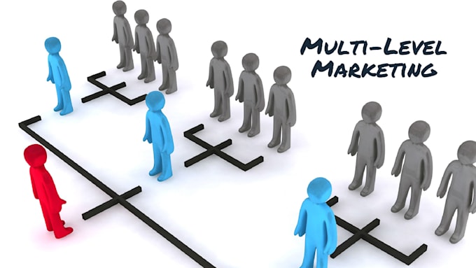 develop complete MLM website and software for you with usdt