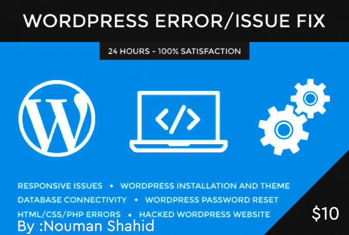 fix wordpress website issues, errors or problems