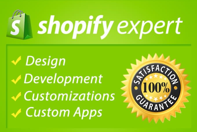 build shopify website for you