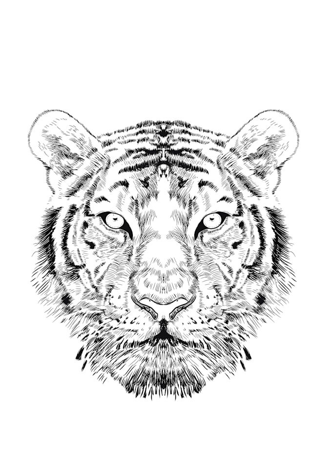 hand drawn wildlife vector animal drawing portrait mascot