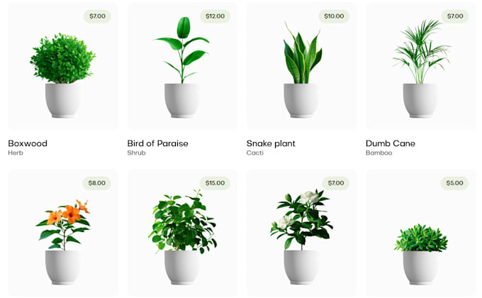 create categories and add products to your website