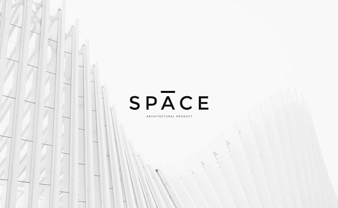 design a premium logo and branding package