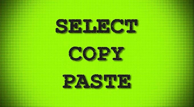 provide any type of copy paste data entry