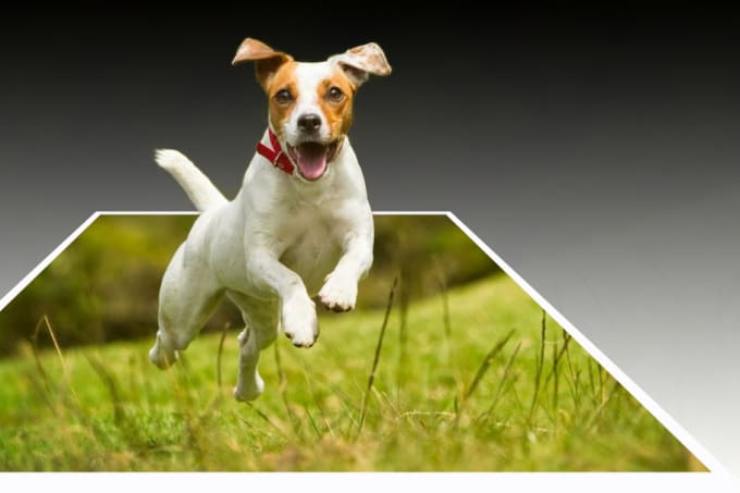 Transform 2d Image To 3d Popout Photo Effect By Khalil85