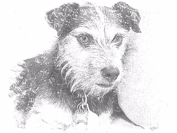 Turn A Normal Picture Into A Sketch By Twinkleslife Free for commercial use no attribution required high quality images. fiverr