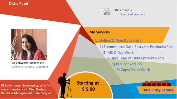 do data entry, product entry and data conversion