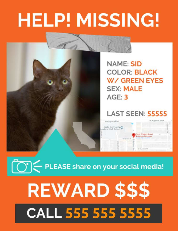 Make A Missing Pet Person Item Flyer Poster By Mirisoji