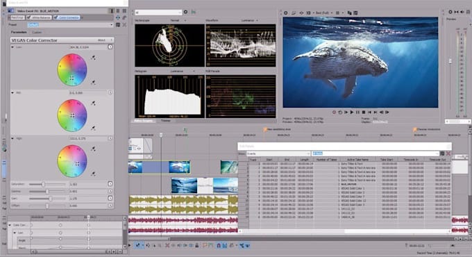 create any video intro animation in 24 hrs