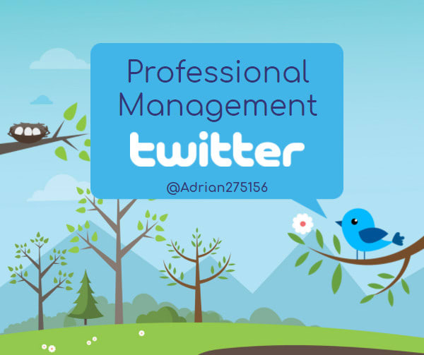 be your twitter manager plus bonus