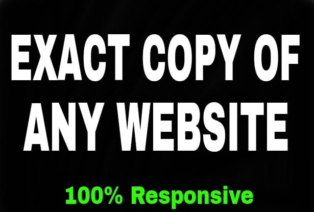 Exact copy website in html template by Faruk75 Fiverr