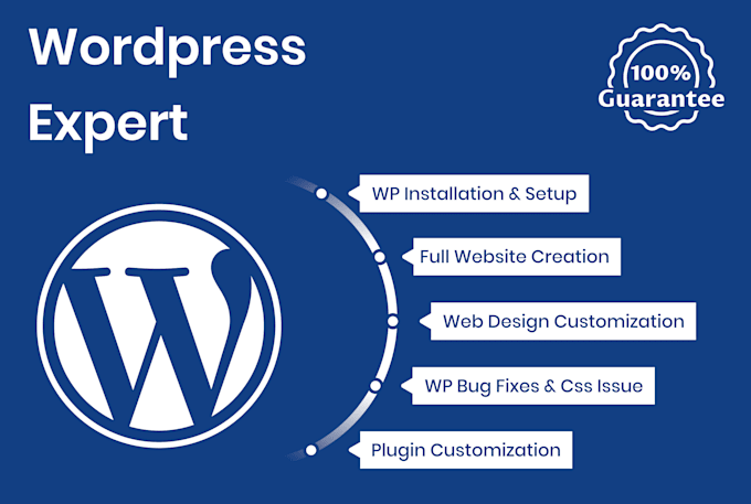 fix your wordpress plugin issues and do custom modifications
