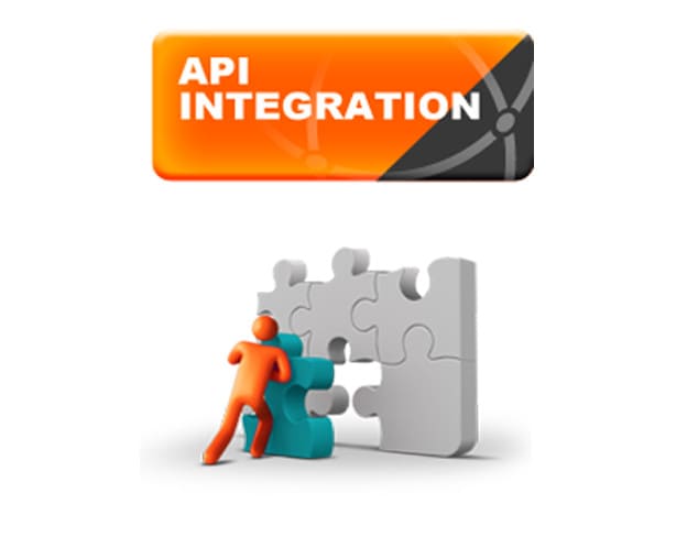 help you to any API Intrigated Work